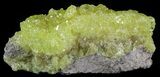 Sulfur Crystals on Matrix - Bolivia #51565-1